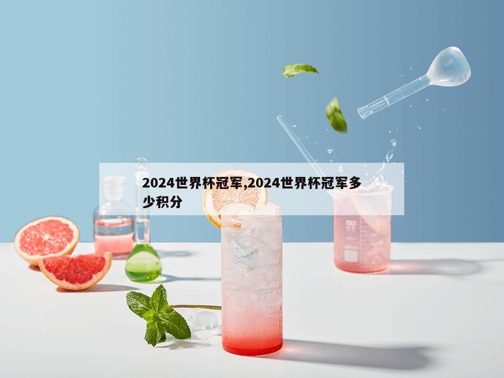 2024世界杯冠军,2024世界杯冠军多少积分